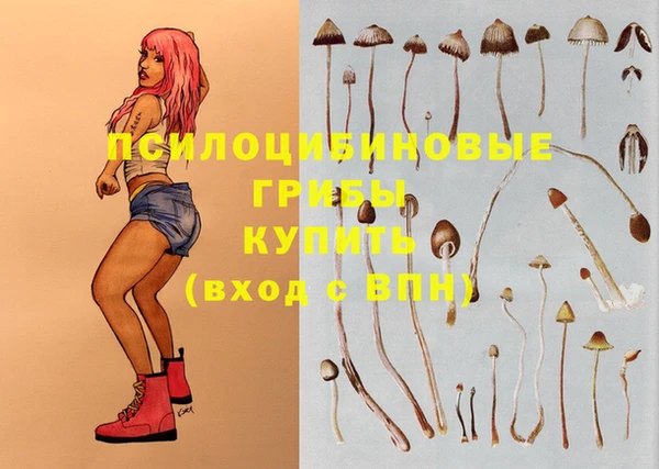 экстази Гусиноозёрск