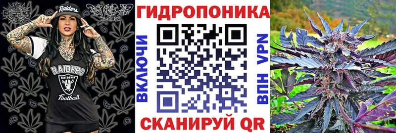 Купить где  Партизанск  Шишки марихуана ГИДРОПОН 